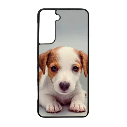 Angyali Jack Russel Terrier kis kutya Samsung Galaxy S23 tok