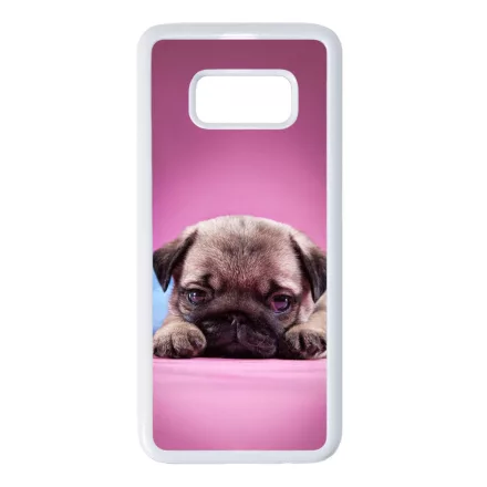 kölyök kutyus francia bulldog kutya Samsung Galaxy S8 fehér tok