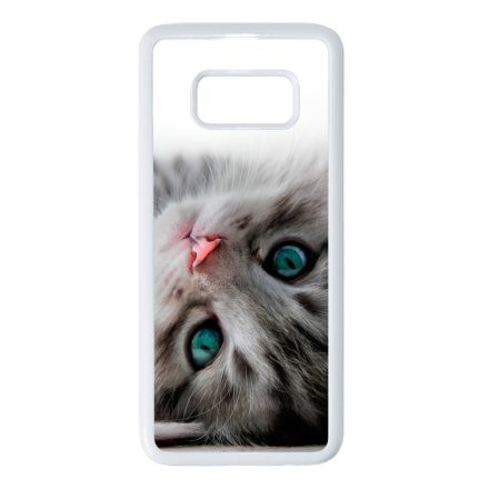 cica cicás macskás Samsung Galaxy S8 fehér tok