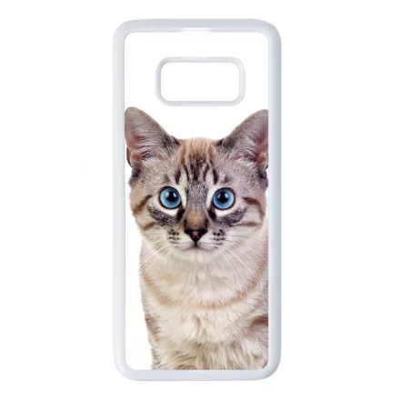 Tündéri házi cicus cicás Samsung Galaxy S8 tok
