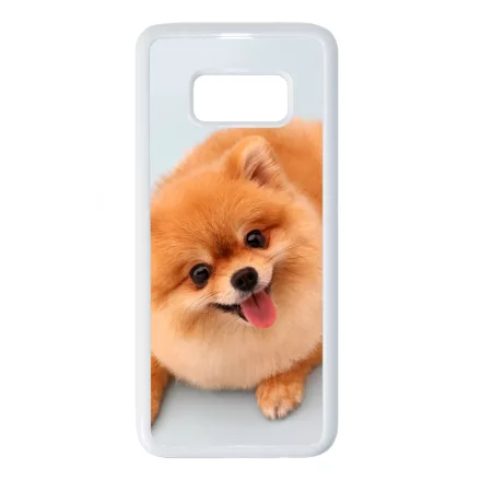 Pomerániai spitz - Akarsz játszani Samsung Galaxy S8 tok