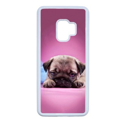kölyök kutyus francia bulldog kutya Samsung Galaxy S9 fehér tok
