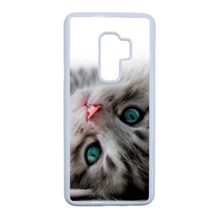 cica cicás macskás Samsung Galaxy S9 Plus fehér tok