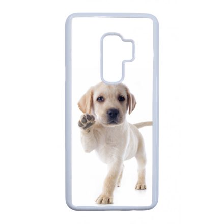 Kérsz Pacsit - Labrador kutyus Samsung Galaxy S9 Plus tok