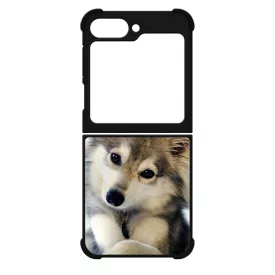 kutyás kutyus Samsung Galaxy Z Flip 6 tok