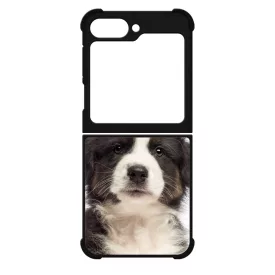 A legédesebb ausztrál juhász kis kutya Samsung Galaxy Z Flip 6 tok