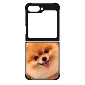 Pomerániai spitz - Akarsz játszani Samsung Galaxy Z Flip 6 tok