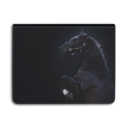 Apollo, a lenyűgöző - Lovas - Univerzális Tablet tok