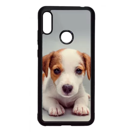 Angyali Jack Russel Terrier kis kutya Xiaomi tok