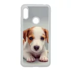 Angyali Jack Russel Terrier kis kutya Xiaomi tok