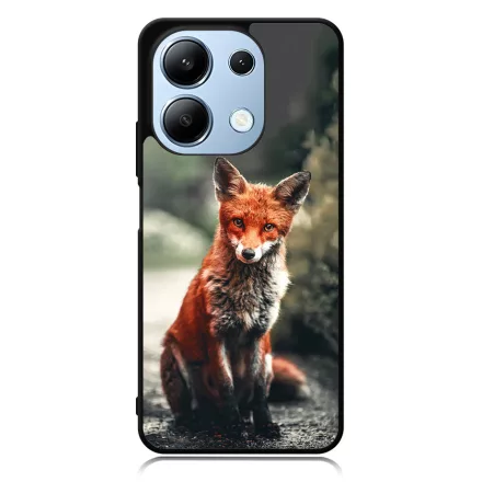 Autumn Fox őszi róka Xiaomi Redmi Note 13 Pro 4G tok