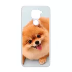 Pomerániai spitz - Akarsz játszani Xiaomi Redmi Note 9 tok