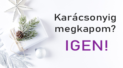 Karácsonyig megkapom? - IGEN! 