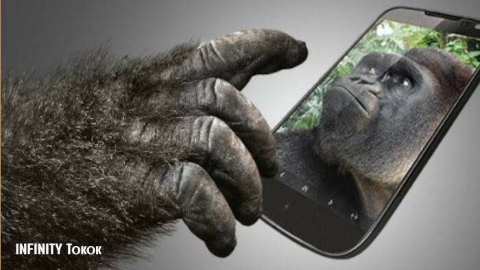 Gorilla Glass